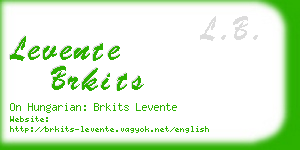 levente brkits business card